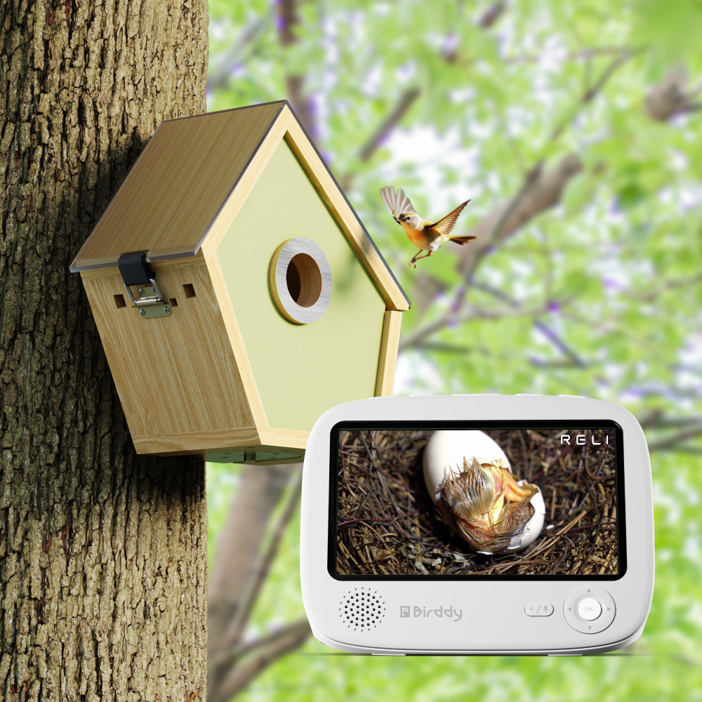Reli Birddy Nest