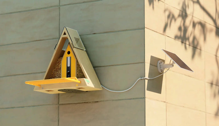Reli Birddy Smart Feeder GreenTough™ Reli Technologies