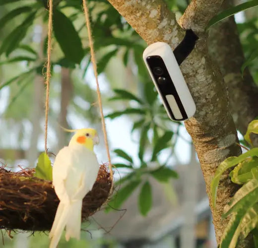Reli Light Cam Battery D1, observe nature and simplify security needs ...