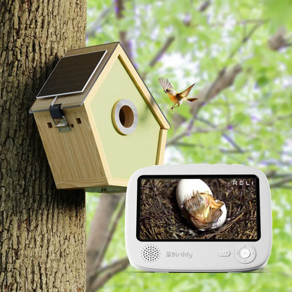 Reli Birddy Nest Reli Technologies