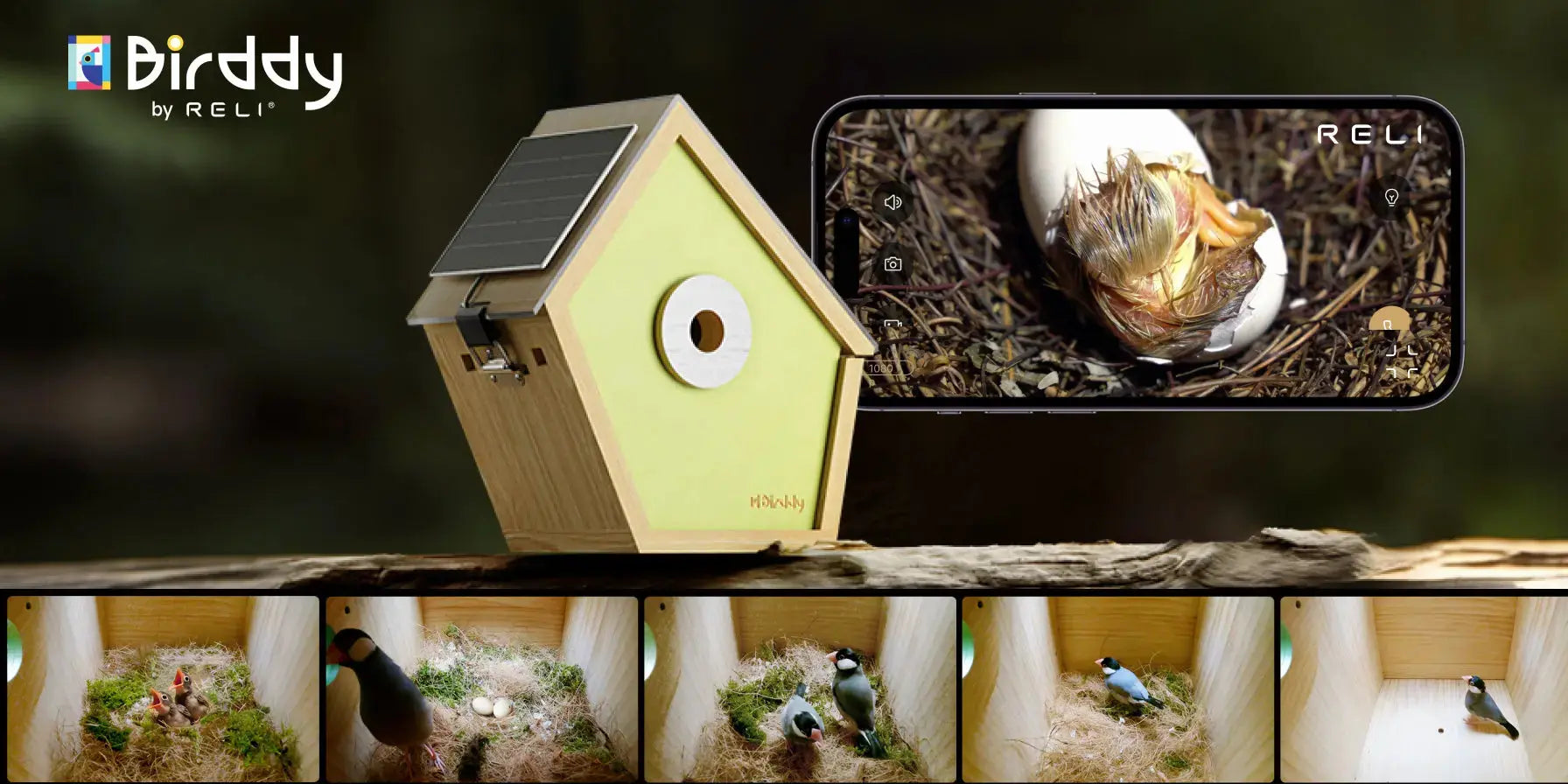 Birddy Smart Birdhouse Con Fotocamera - Nido Uccelli AI, Energy Solare, WiFi Per Birdwatching - Foto 11