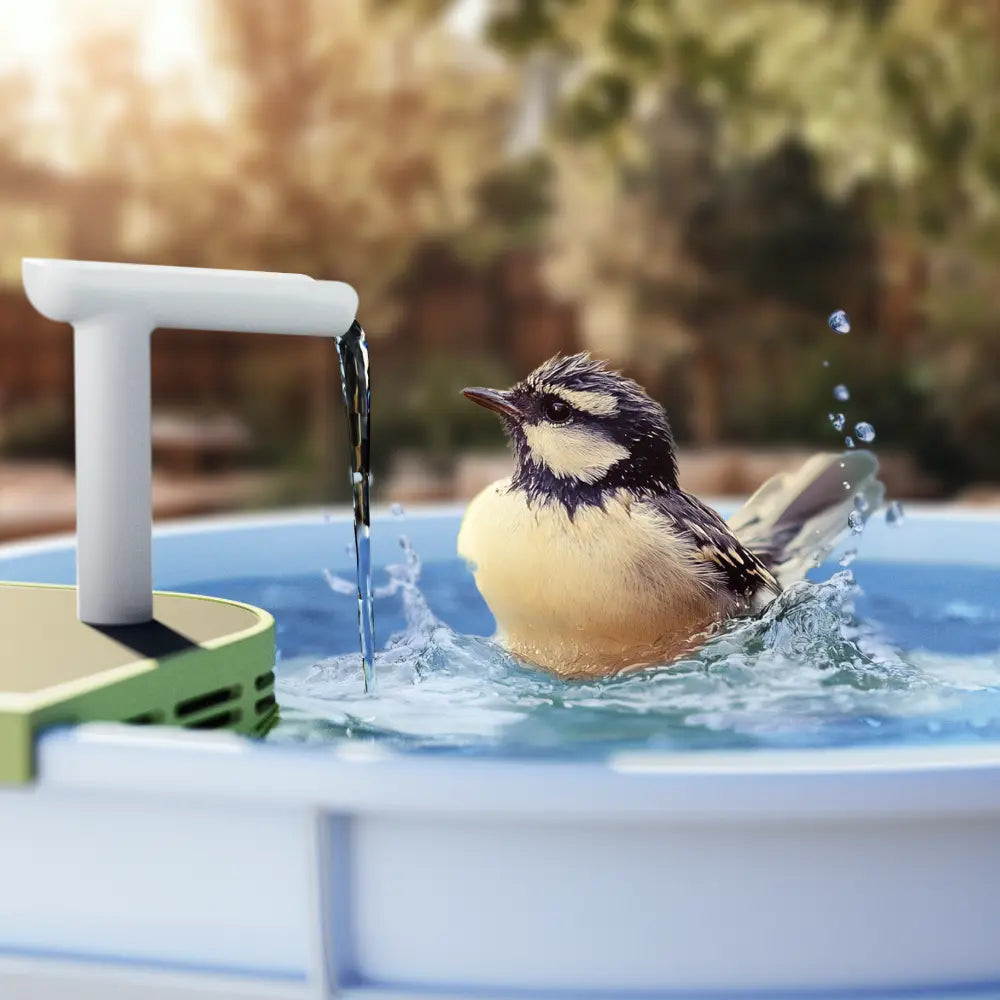 Reli Birddy Smart Bird Bath Reli Technologies
