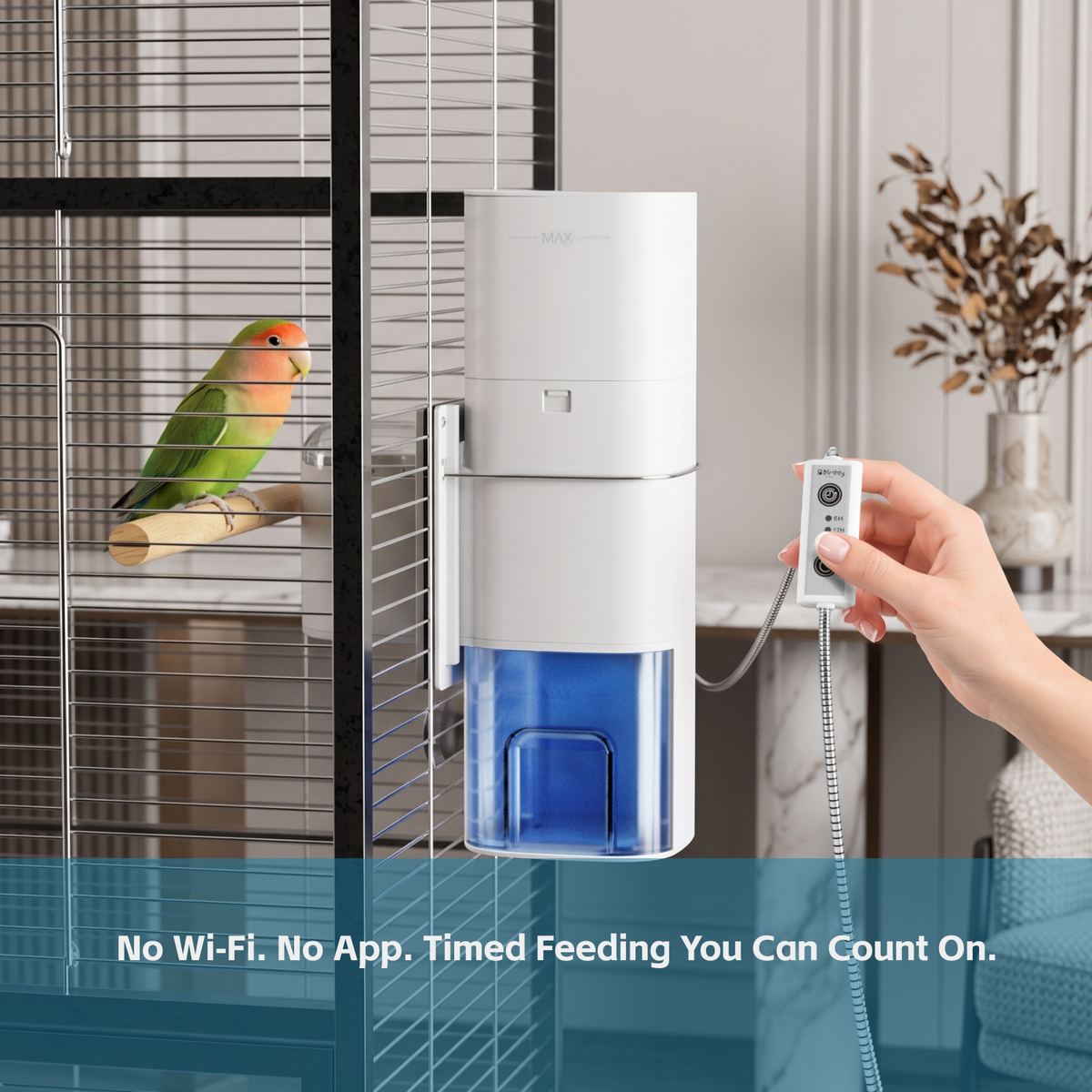 Birddy Smart Feeder