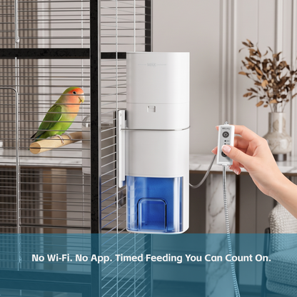 Birddy Smart Feeder