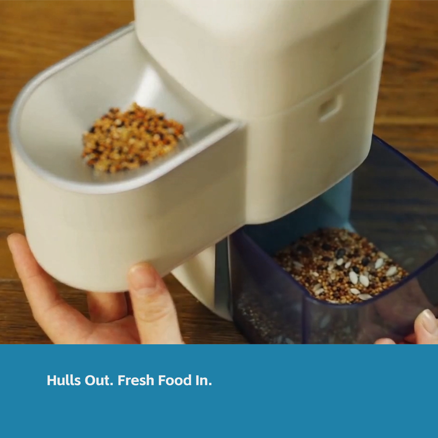 Birddy Smart Feeder